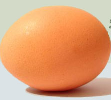 pasture poultry