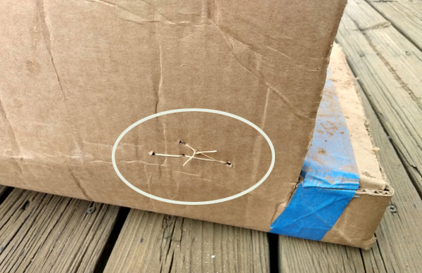 bottom of potato box