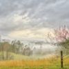 Asheville mountain fog